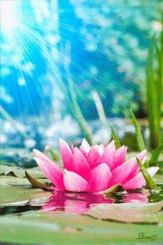 会动的图片一览表,会动的图片完整版