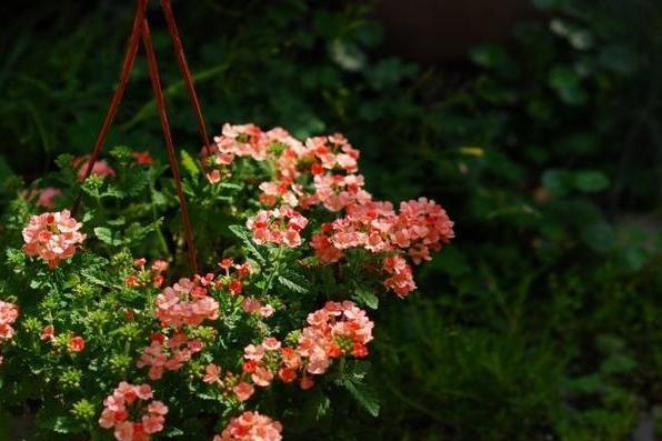 50条高质量qq个性签名短句,女人优雅内涵的个性签名简短