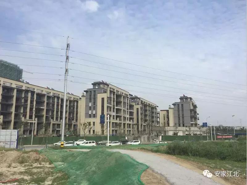 刚刚，大学研究院正式签约！江北新区这个板块爆发了