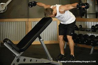 新手哑铃健身一周训练计划,新手健身一周训练计划在家