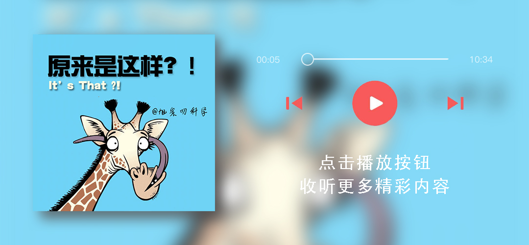 取消军训有什么后果,中学生不参加军训有什么后果