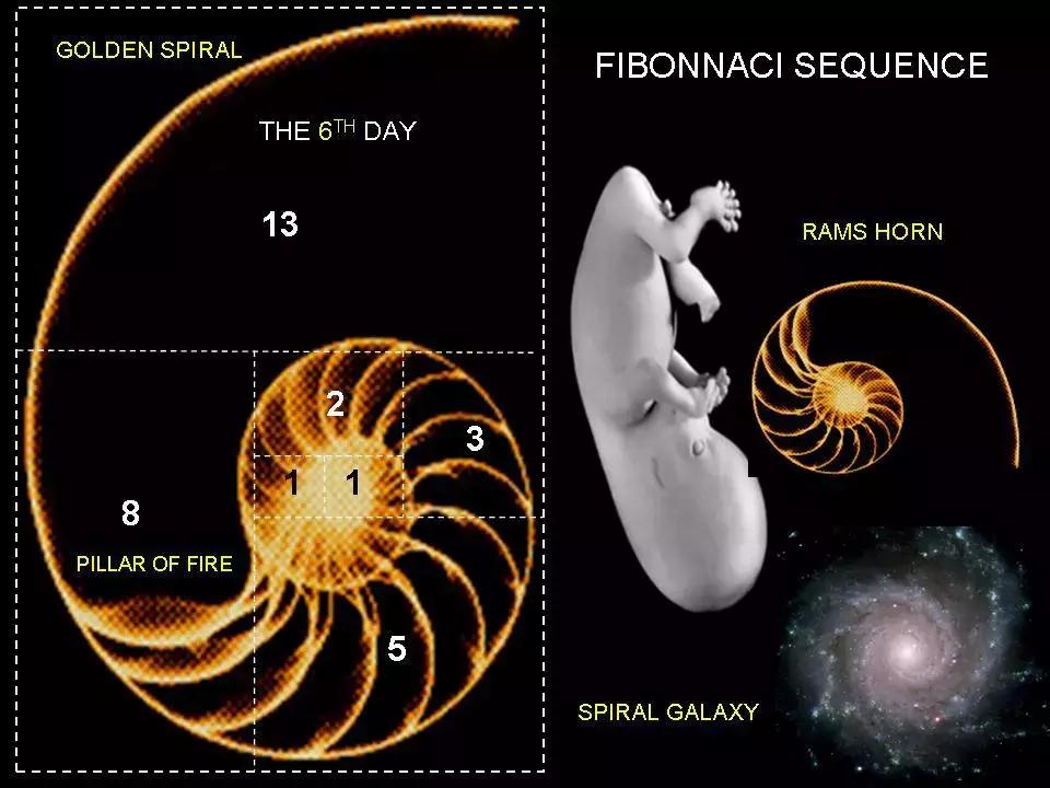绁炲湥鍑犱綍璁茶В瑙嗛,绁炲湥鍑犱綍濡備綍杩愮敤