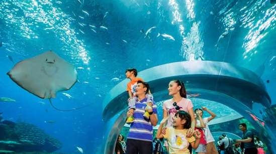 亚特兰蒂斯水族馆长隆海洋世界,珠海长隆海洋王国水族馆