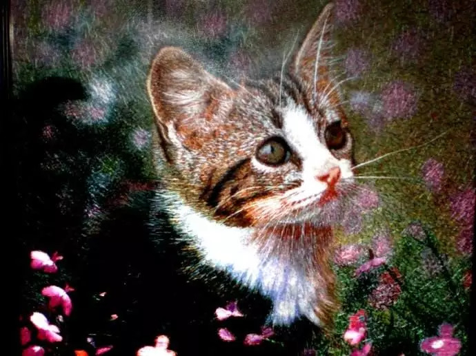 来木渎古镇感受乾隆,木渎古镇曾经的辉煌