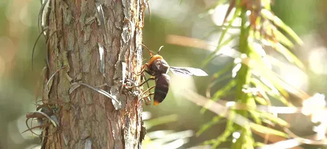 看到这几种东西千万不要捡,看到这些危险标志赶紧远离