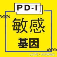确保安全，锁定神效：四类基因突变，帮你精准使用PD-1！