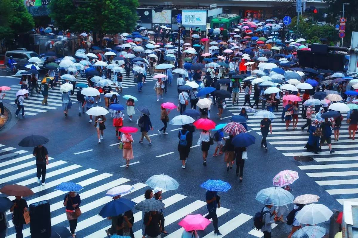 日本东京京都游记,生活在别处苏晴小说