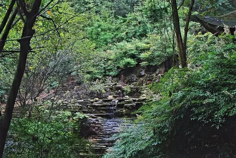 彭山景区免费政策,优待证去庐山景点全部免费吗