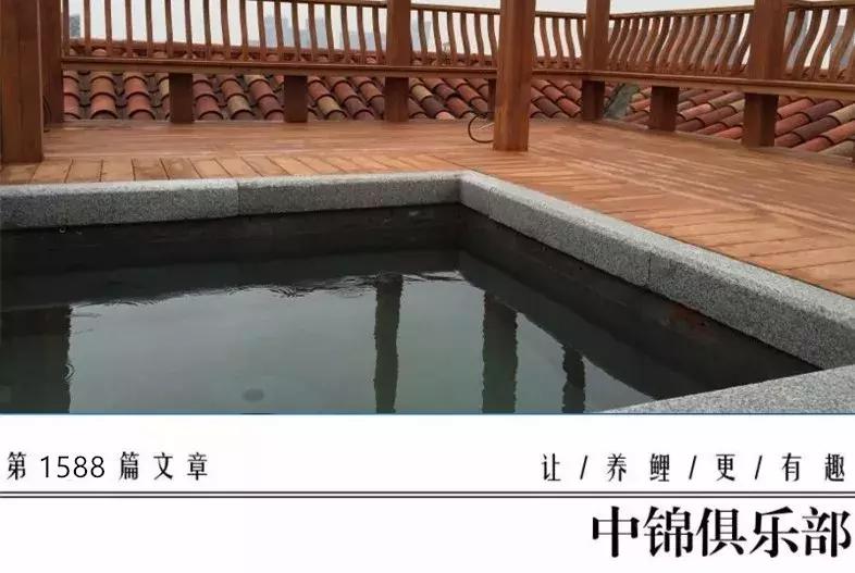 楼顶鱼池有哪些,屋顶鱼池的建造方法