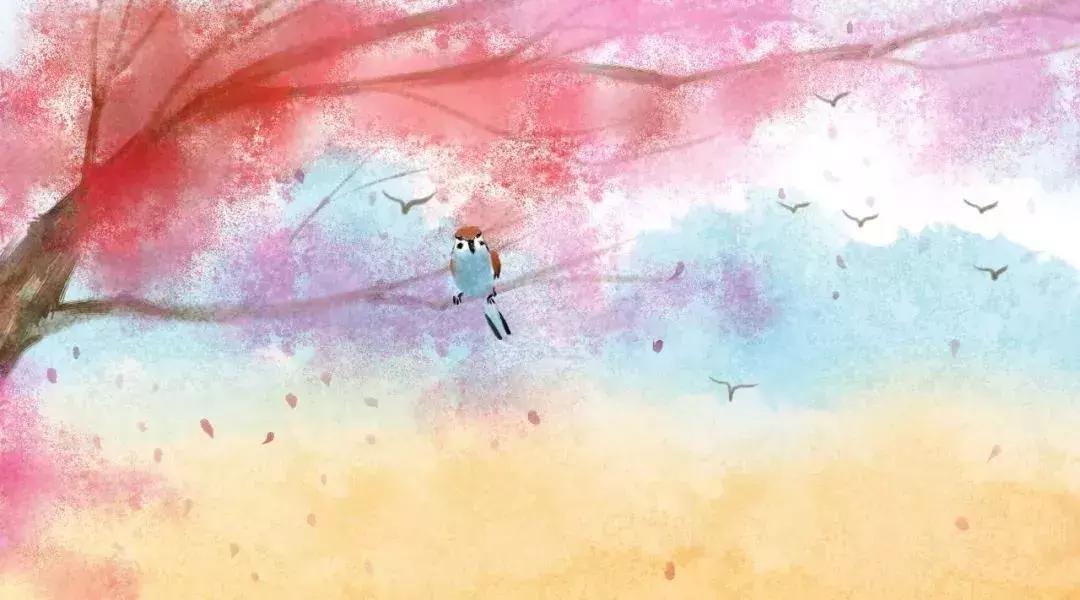 心如平静淡如水的诗句,心静如水的唯美诗词