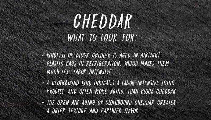 好好领教奶酪的“臭脾气”