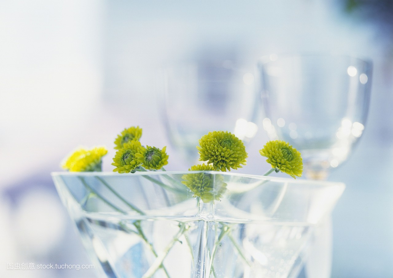 小学教师资格证最新记忆口诀,教师资格证考试口诀顺口溜