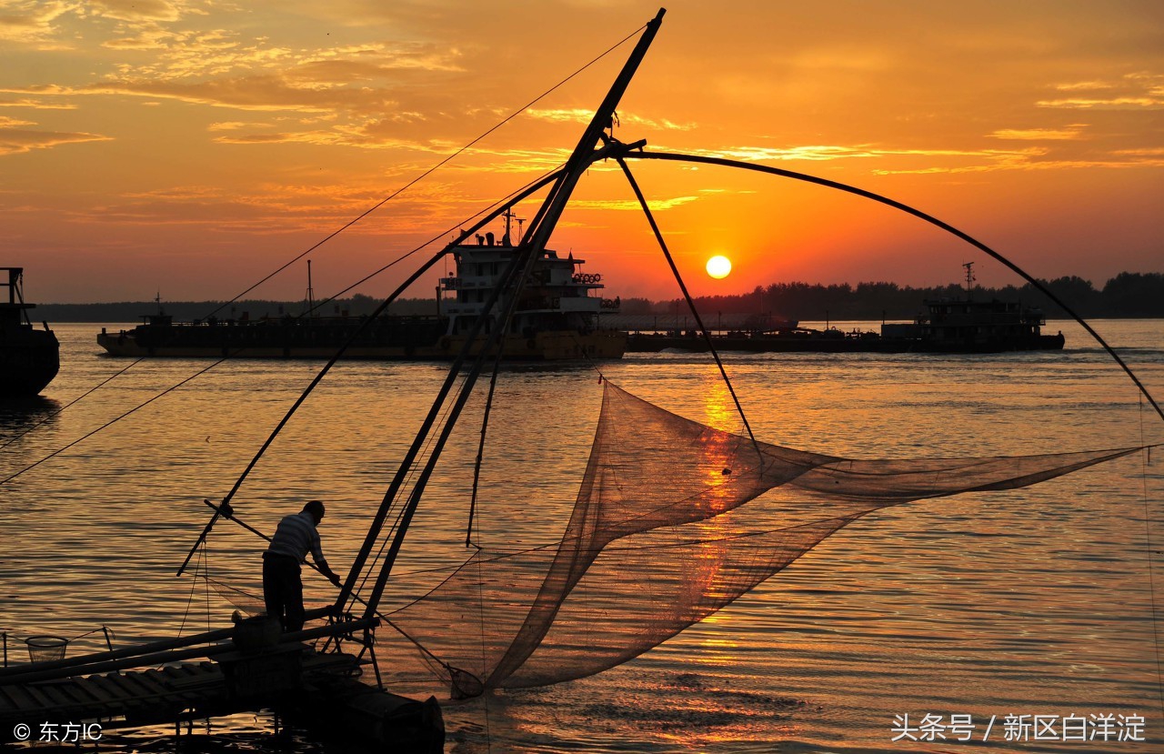 白洋淀渔民绝技——夫妻摇船扎花篮，鲤鱼溜走鲂鱼上来