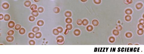 很血腥猎奇的三部纪录片,比较血腥的纪录片