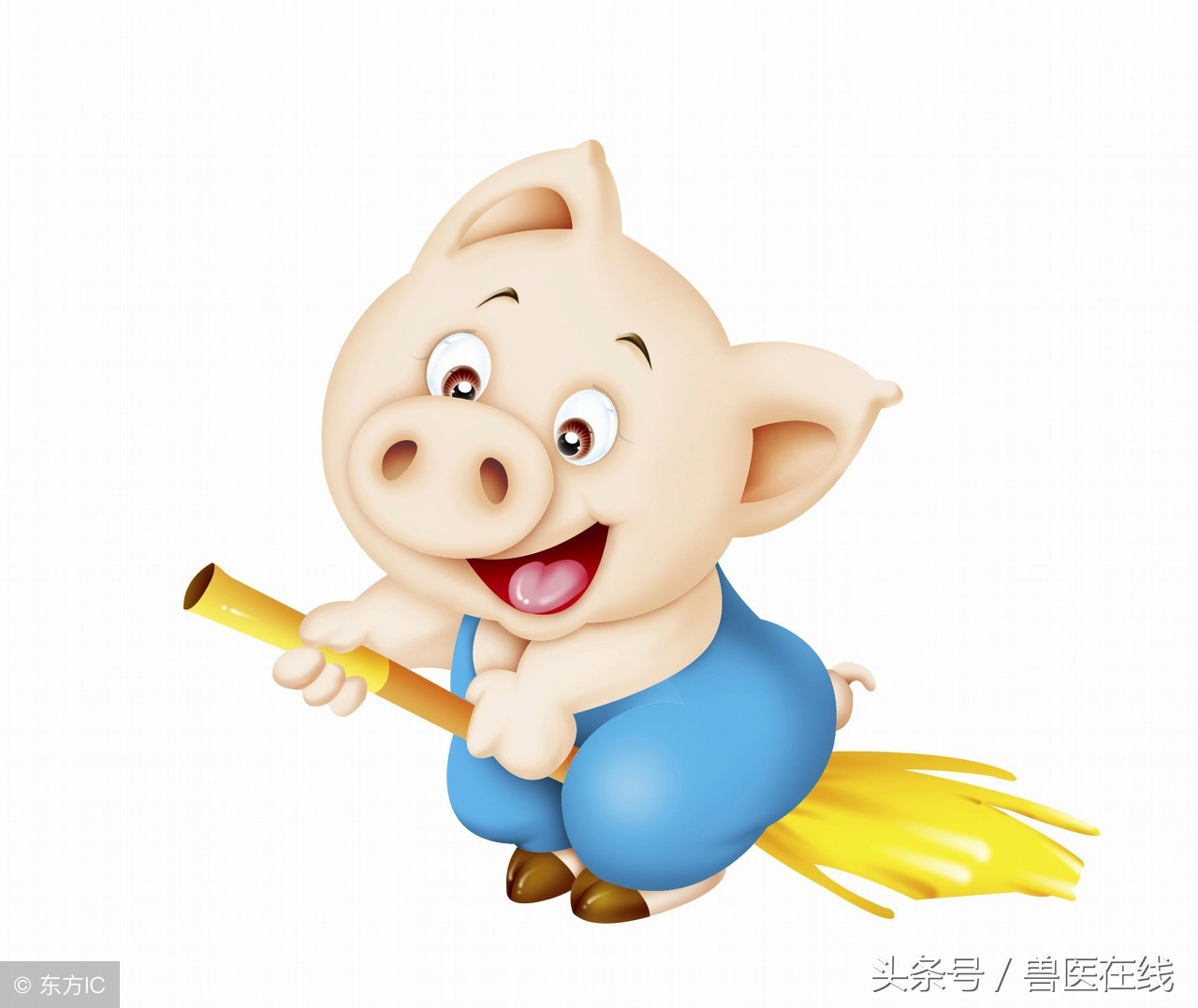 废机油为什么能治猪癞病,废机油能治猪身上结痂吗