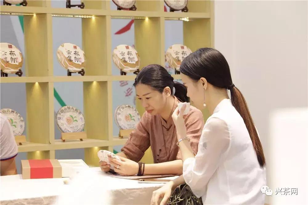 品牌升级焕新而来,福海茶厂高端熟茶产品