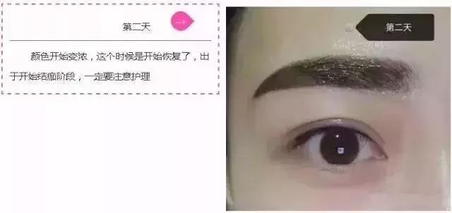 纹眉后一周眉毛变化过程,纹眉后1到七天的变化图