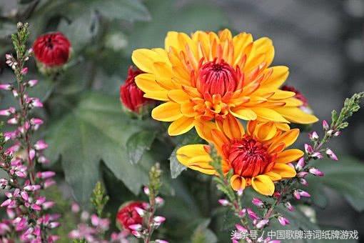 最经典伤感悲秋的10首古诗词,关于悲秋的诗句古诗词