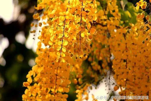 最经典伤感悲秋的10首古诗词,关于悲秋的诗句古诗词