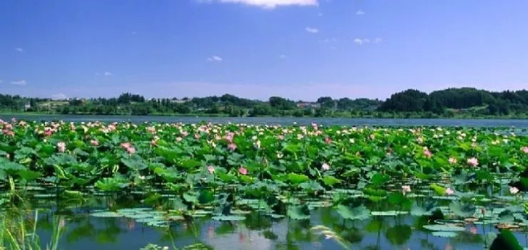 下站该往哪里去,下站了该去哪