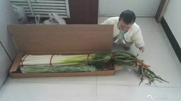 青岛的啤酒和蛤蜊,野生干蛤蜊青岛特产