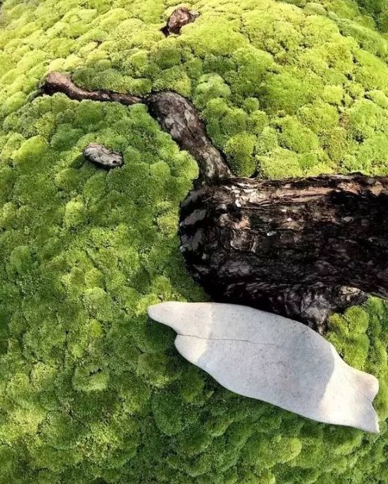 小小设计师绘本故事,小小建筑师绘本故事图片