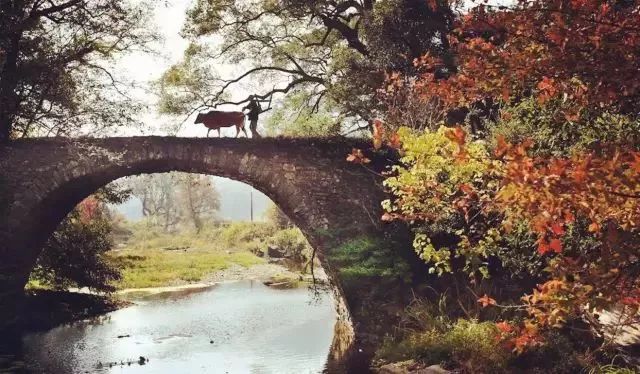 秋天的婺源篁岭,秋天的婺源有什么