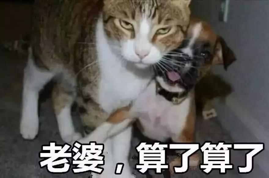 女儿问妈妈什么是情商,女儿问高情商爸爸问题原创