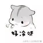 爆笑！收到2米多高代购清单的男子代购回来啦！「蜀黍周趣闻‖NO.43」