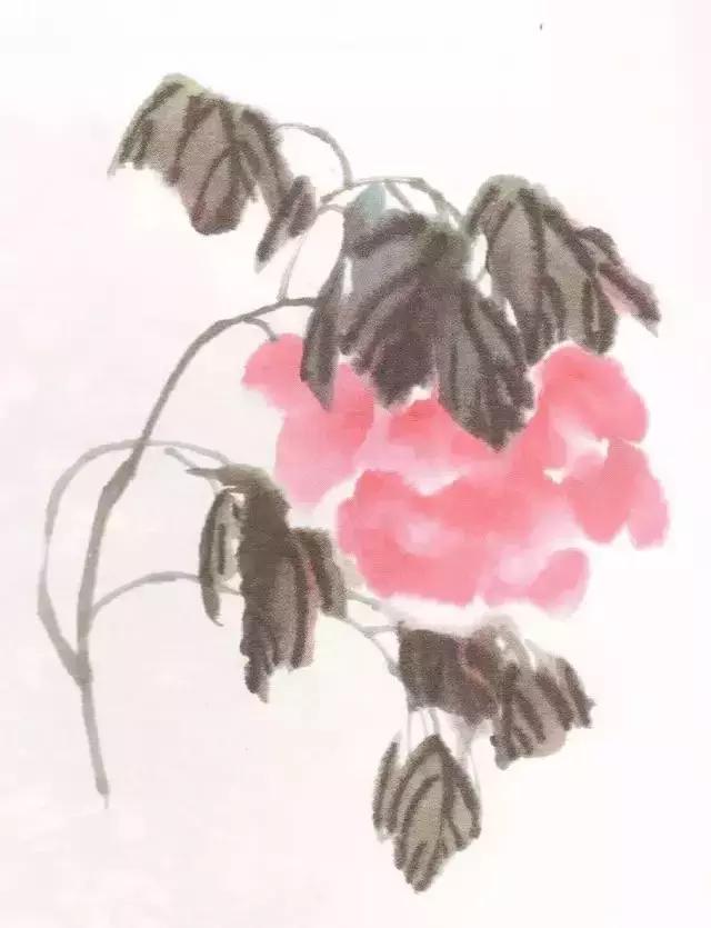 国画牡丹叶子怎样布局,国画牡丹叶子的布局