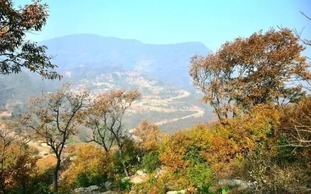 河南露营自驾游推荐,春节河南自驾露营最佳地方