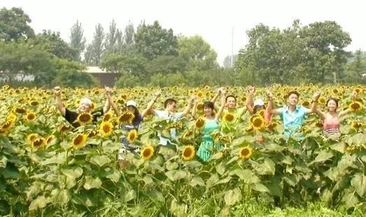 河南露营自驾游推荐,春节河南自驾露营最佳地方