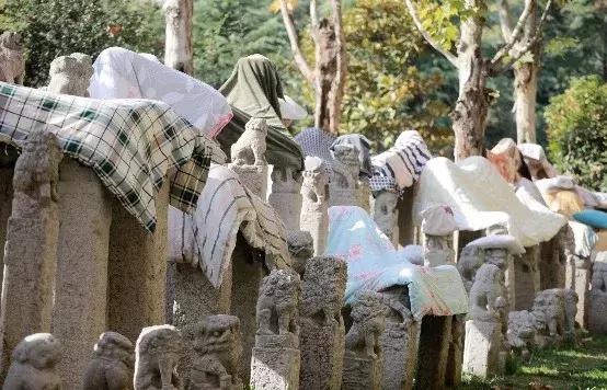 西安各个高校雕塑,高校奇葩雕像