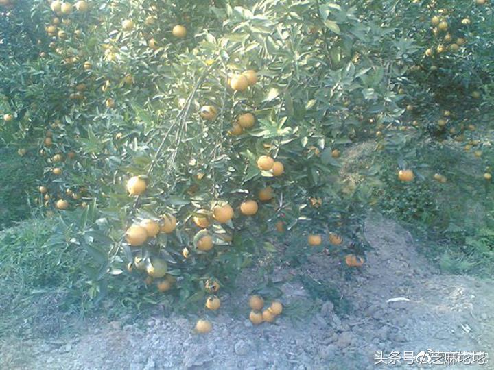 三峡古镇,消逝的三峡古镇