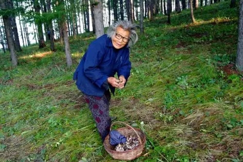 散文母亲的麦子,散文妈妈的炊烟