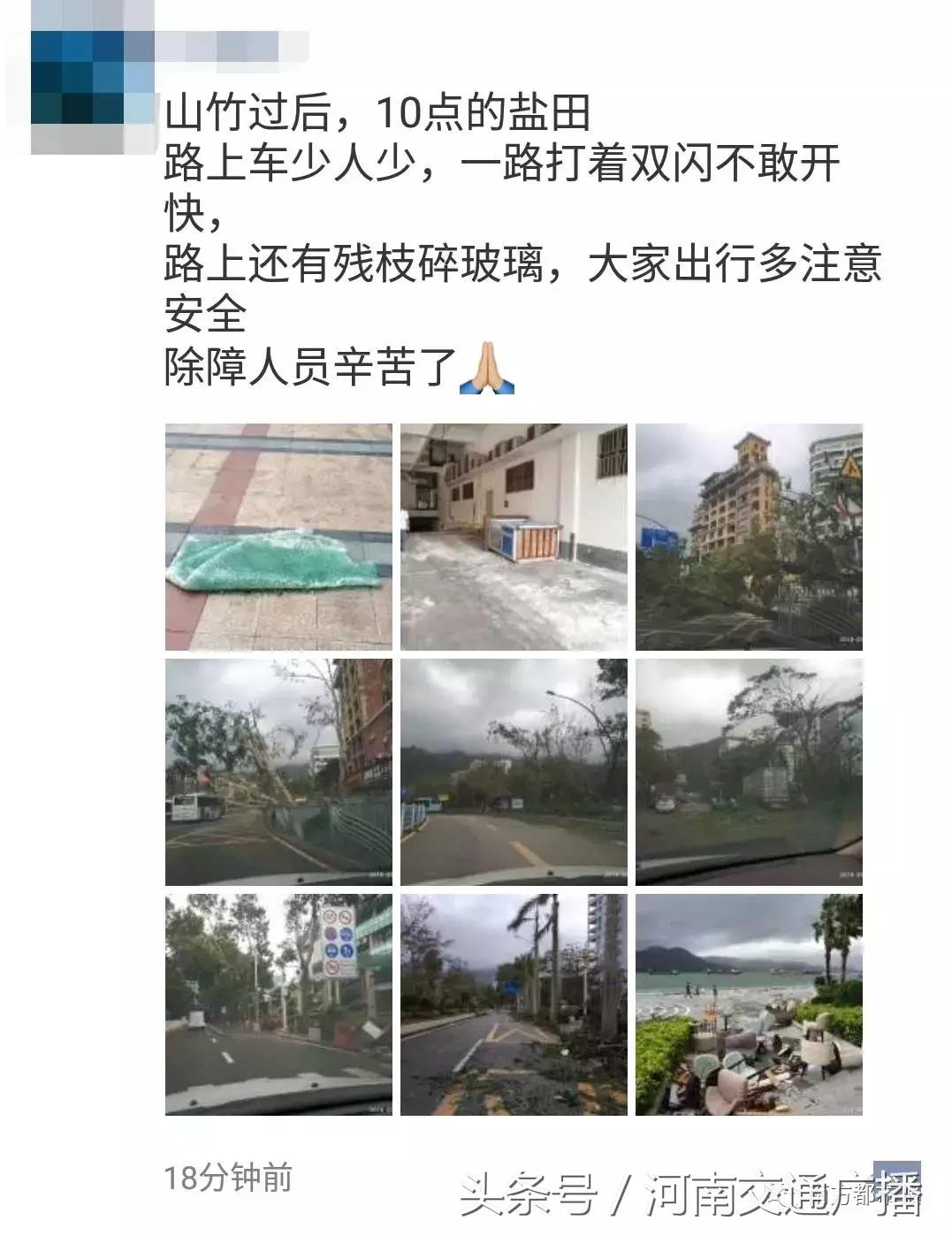 “山竹”过后首个工作日：广东人爬树都要去上班！