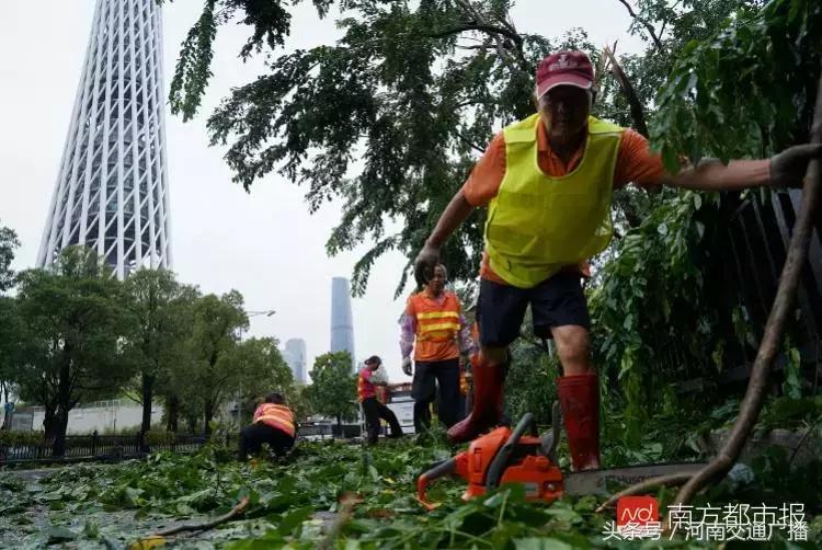 “山竹”过后首个工作日：广东人爬树都要去上班！