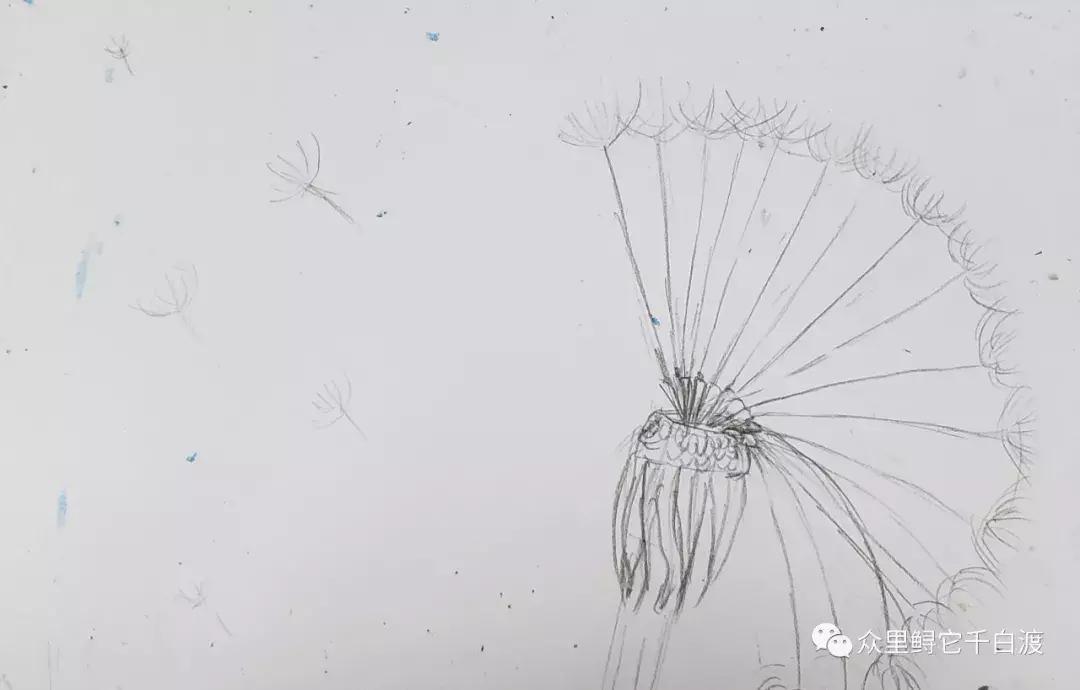 油画棒蒲公英教程简单图,圣诞油画棒教程