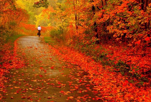 川西美景米亚罗一日游,四月两日游推荐景点四川