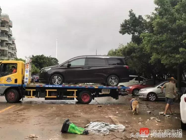 “山竹”过后首个工作日：广东人爬树都要去上班！