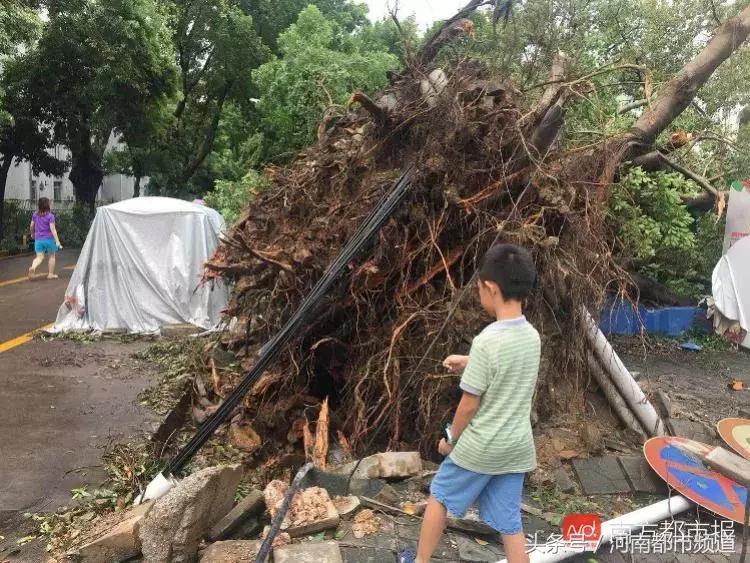 “山竹”过后首个工作日：广东人爬树都要去上班！