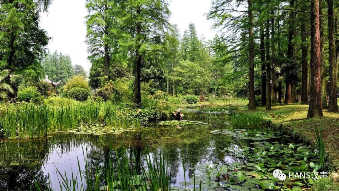 武汉发放100万张景点门票,武汉30万张门票免费预约