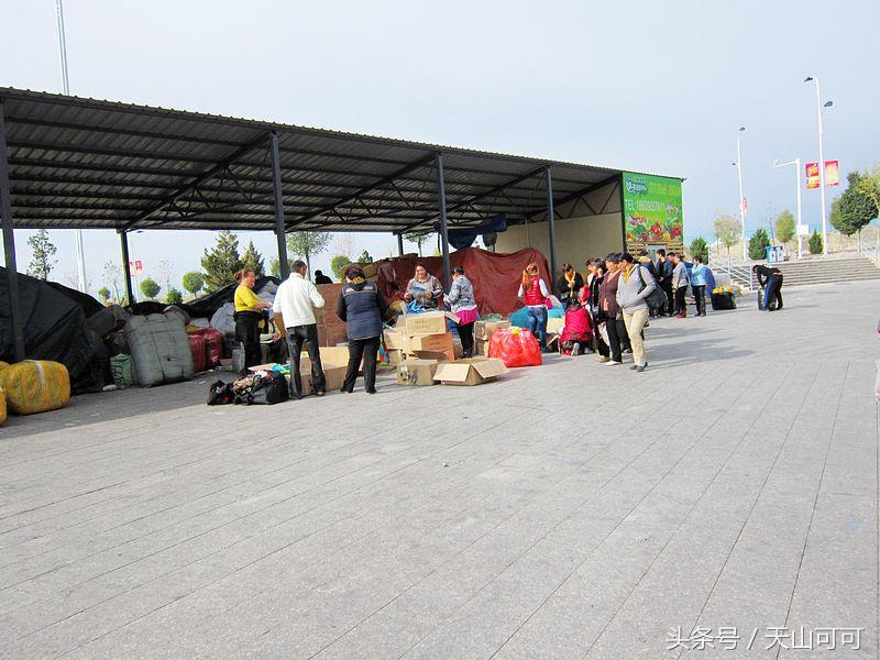 霍尔果斯口岸什么生意多,霍尔果斯边境口岸可以做什么生意