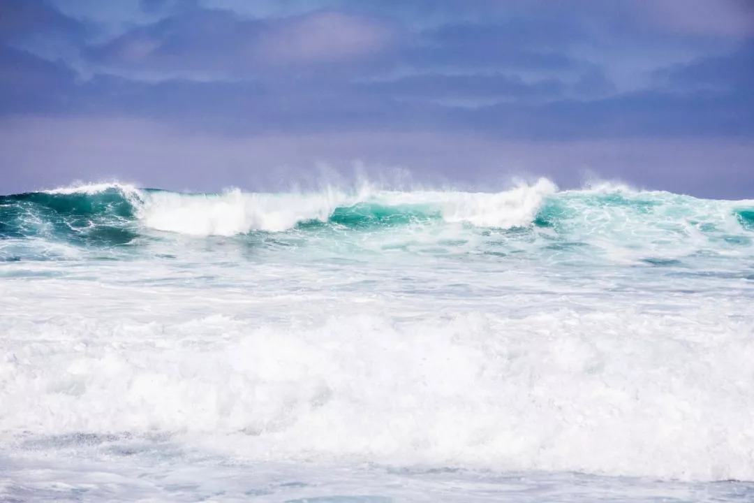 创作者招募计划入口,作品推广热门创作人计划