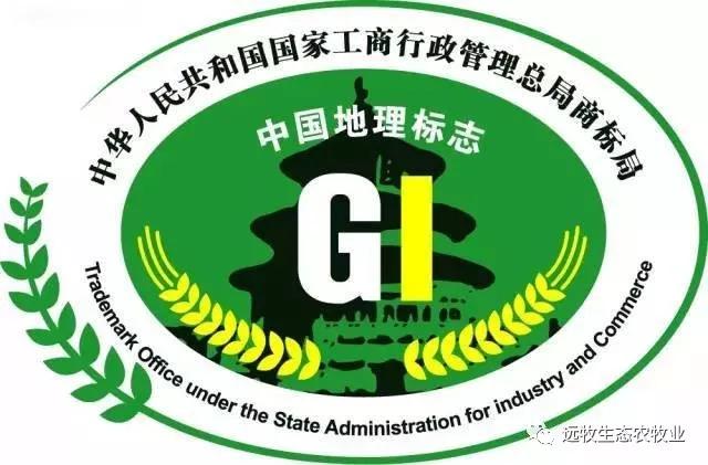 什么叫做生意真正的含义,什么叫做生意完整版