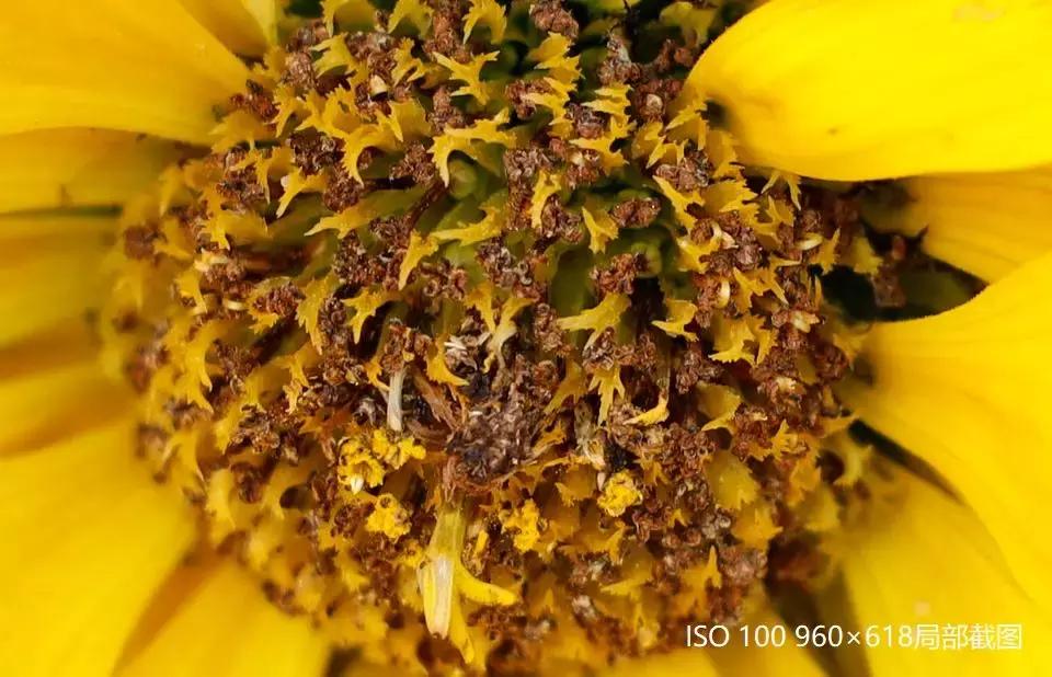 转接环如同原生操控性基因强大佳能EOSR初步评测