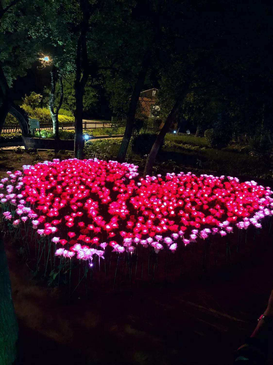 胆小别去的景点,北戴河怪楼景区