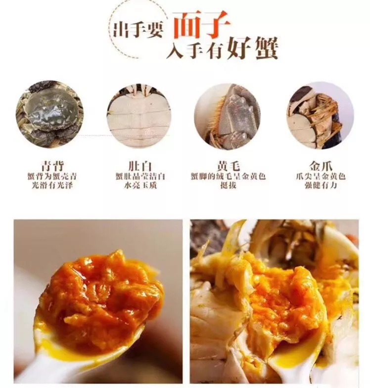 「团购」中秋送礼必备！价格低质量好的阳澄湖大闸蟹要去哪里买呢？这只来自阳澄湖的鲜活大闸蟹肥美爆膏正当时，错过等一年！