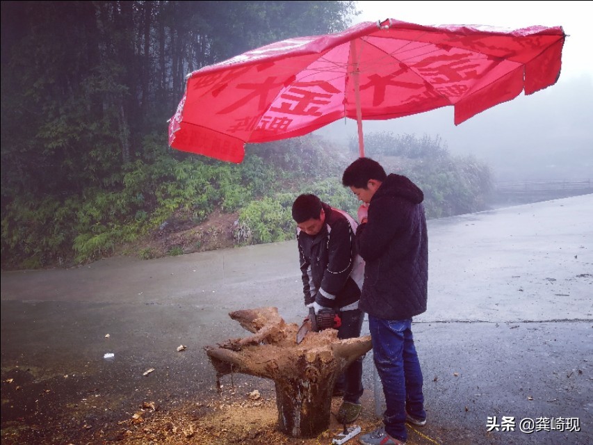 根雕小茶桌泡茶,用根雕茶桌喝茶