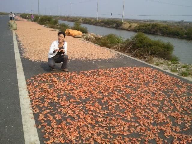山东哪的海鲜最好吃,山东海边好吃的海鲜